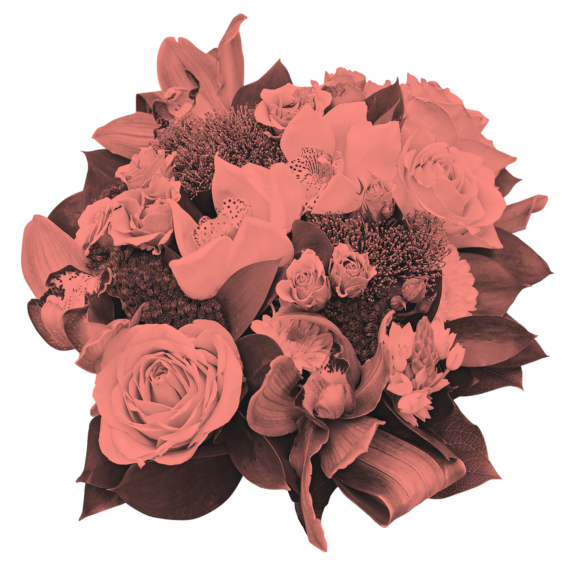 2012 Featured Image